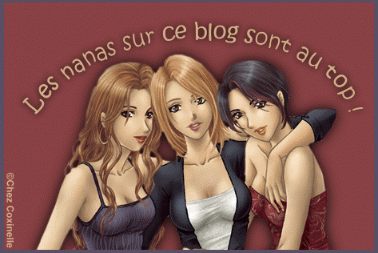 JE VOUS DEDIE CETTE IMAGE A VOUS LES AMIES